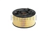<b>BMW:</b> 13 71 7 503 141<br/>