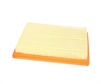 <b>GM:</b> 26679476<br/><b>GM:</b> 26679479<br/>
